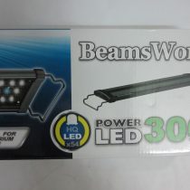 beams-word-300