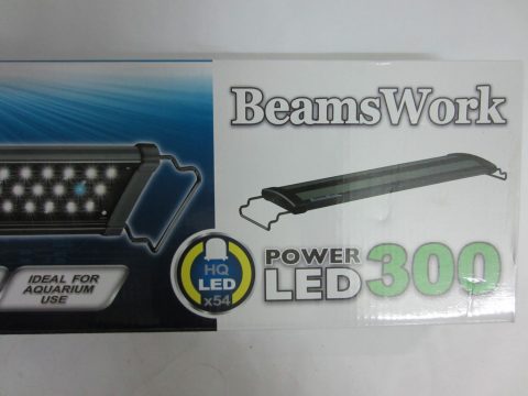 beams-word-300